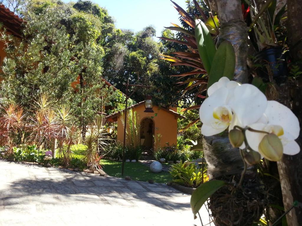 Borgo San Felice Pousada Secretario Εξωτερικό φωτογραφία